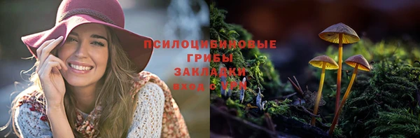 меф Белокуриха