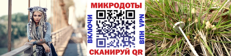 darknet какой сайт  Бузулук  Псилоцибиновые грибы Cubensis  ОМГ ОМГ ссылка 